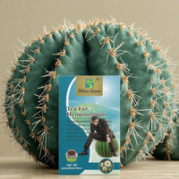 Thé aux herbes vertes chinoises en gros sur mesure WinsTown – Thé aux herbes naturelles de l'usine WinsTown – Prix de gros – Thé bien-être pour homme