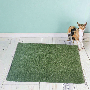 Nieuwe Mode Binnen/Buiten Hondenpotje Draagbaar Plastic Huisdierentoilet Met Milieuvriendelijk Kunstgras - Product Image 5