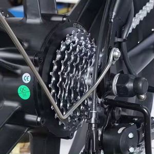 V20 Pro doble <span class=keywords><strong>asiento</strong></span> eléctrico fatbike <span class=keywords><strong>velo</strong></span> <span class=keywords><strong>bicicleta</strong></span> motor eléctrico ciclos eléctricos e bike 250W ebike - Product Image 2