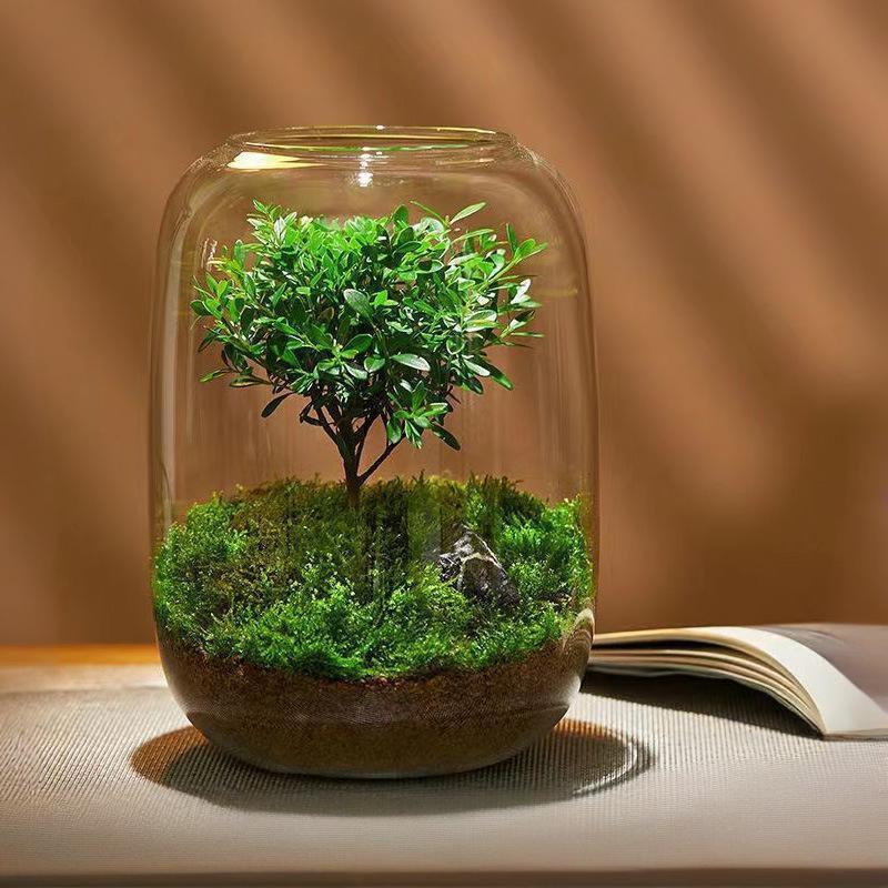 Modern Nordic clear Glass Creative Vase