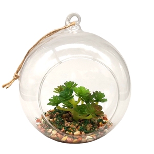 Mini piante <span class=keywords><strong>succulente</strong></span> artificiali popolari all'ingrosso <span class=keywords><strong>In</strong></span> <span class=keywords><strong>vaso</strong></span> di vetro appeso trasparente per la decorazione domestica - Product Image 3