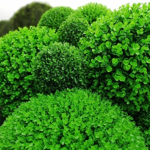 Césped Artificial Efecto Verde <span class=keywords><strong>Planta</strong></span>, Pluma de <span class=keywords><strong>Guinea</strong></span>, en Caja, Bola Colgante de Plástico, Hierbas Artificiales para AstroGazing, Césped para Cancha de Bochas - Product Image 4