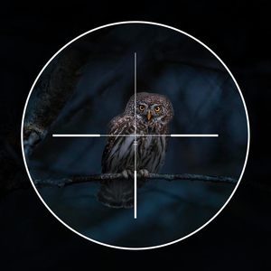 Ống nhòm tầm nhìn ban đêm GOYOJO 1920x1080 OLED HD, dùng cho săn bắn, quan sát ngày & đêm, sử dụng ngoài trời, thiết bị tầm nhìn ban đêm di động - Product Image 6