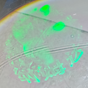 Adorno decorativo minimalista moderno de fotopolímero – Decoración del hogar, exhibición de escritorio para oficina, regalo creativo - Product Image 5