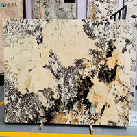 Dalles de marbre du Brésil translucides de luxe, granit Patagonia pour sols, murs ou comptoirs