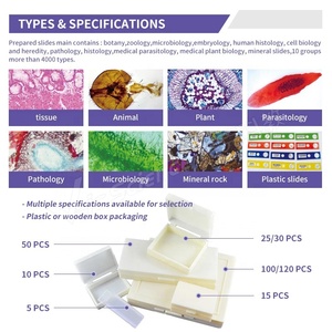 Preparación <span class=keywords><strong>de</strong></span> microscopio <span class=keywords><strong>de</strong></span> embrión <span class=keywords><strong>de</strong></span> pollito <span class=keywords><strong>de</strong></span> 64 horas, montaje completo, fórmula fija permanente, estándar UE, para <span class=keywords><strong>el</strong></span> aula <span class=keywords><strong>de</strong></span> biología - Product Image 2