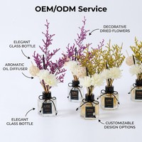 Diffuseur de parfum professionnel OEM 50 ml de luxe avec étiquette privée personnalisée pour les boutiques e-commerce