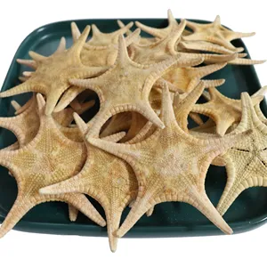 Hot Sale Dry Goods Edible Starfish Seafood on Christmas Day