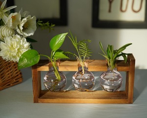 Vase en verre hydroponique moderne en forme de cœur, support de plante en bois, cadre en bois créatif, petit vase hydroponique - Product Image 6