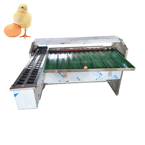 Commercial Egg Washer with Grader Price Egg Grading Machines Egg Washer and Grader - Product Image 3