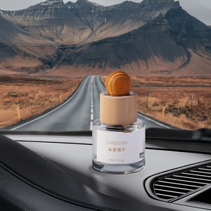 Rafraîchisseur d'air de luxe pour la maison pour ensemble de diffuseur de roseaux Emballage de logo personnalisé de parfum durable Verre anti-moustiques sans feu - Product Image 3