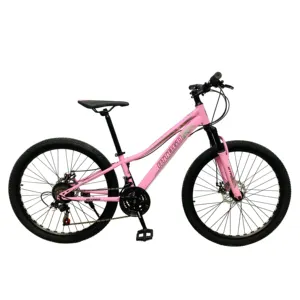 गर्म बिक्री मजबूत और अच्छी गुणवत्ता पूर्ण निलंबन चुपके बॉम्बर वयस्कों के लिए एमटीबी enduro फ्रेम साइकिल 26 इंच पहाड़ बाइक