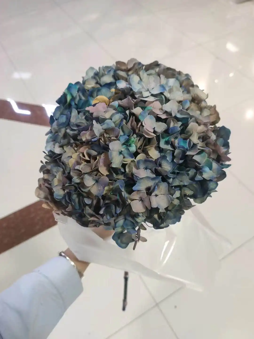 2022 Ins Popular Release green preserved big leaf hydrangeas preserved hydrangea flowers For Wedding Decoration