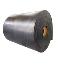 Vente chaude Qualité Nylon tissu caoutchouc roche ferraille nylon densité de courroie en caoutchouc dans la bande transporteuse en treillis métallique