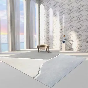 China professioneller Lieferant Luxus-moderne Teppichteppiche Wohnzimmer groß