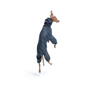 Vêtements <span class=keywords><strong>pour</strong></span> chien Greyhound, imperméables, réfléchissants, 4 pattes, veste à capuche réglable <span class=keywords><strong>pour</strong></span> animaux <span class=keywords><strong>de</strong></span> compagnie, <span class=keywords><strong>manteau</strong></span> <span class=keywords><strong>pour</strong></span> <span class=keywords><strong>Whippet</strong></span>, chiens <span class=keywords><strong>de</strong></span> taille moyenne et grande, imperméable - Product Image 6