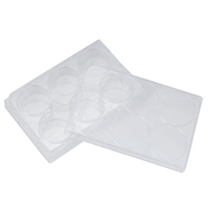 Placas de Cultivo Celular Angentech de 6/12/24/48/96 Pocillos, Material PS de Alta Transparencia, Tratadas con TC, Microplacas de Laboratorio - Product Image 2