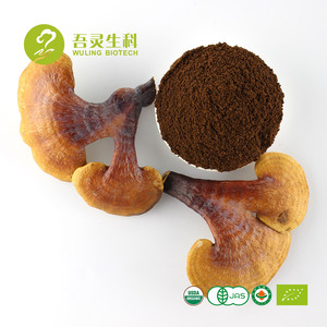 2020 Hot Selling Shell Broken Lingzhi Red Reishi Spore Powder Ganoderma Lucidum Plant Extract Relieves Allergies - Product Image 4