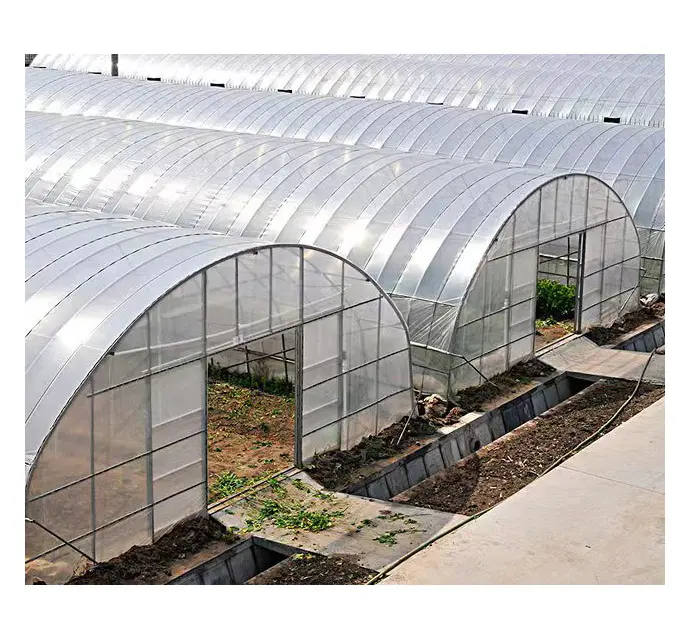 Grandes serres agricoles tunnel moderne de film plastique de jardin graines de légumes de tomate nursary structure de serre multi span