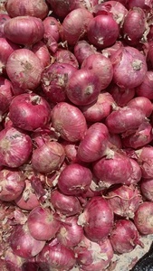 Hành tươi màu đỏ sẫm hành tím đỏ cung cấp từ trang trại hành tây Trung Quốc - Product Image 6