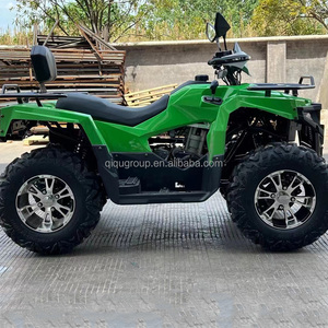 Buggy tout-terrain refroidi par air EU QIQU, automatique avec marche arrière, kart à essence commercial 200cc - Product Image 3
