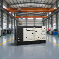 Generador de Energía Continua (COP) de Gas Natural LNG/LPG de 1000kVA 800kW con Motor Weichai, Stamford ATS, Tipo Silencioso