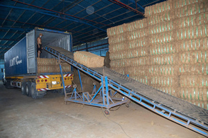 Fibre de noix de coco traitée pour le remplissage du matelas, l'utilisation artisanale, le paillis biologique et les solutions de contrôle de l'érosion - Product Image 6