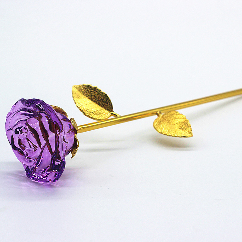 violet coloré