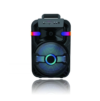 Subwoofers 10'' sans fil avec microphone, 20W, LED RGB, Bluetooth 5.0, micro intégré, télécommande, utilisation extérieure, système audio portable, batterie, application
