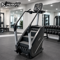 Appareil de cardio-training professionnel pour la montée d'escaliers, idéal pour les clubs de fitness et l'entraînement en salle de sport