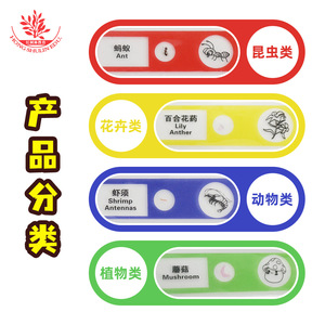 Plastic slide specimens, mixed English and Chinese, 12 slides, for children's <b>microscopes</b>, featuring plants, animals, insects, - Product Image 3