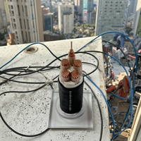 Cable de Alimentación de Baja Tensión de 0.6/1kV con Revestimiento de Poliolefina Reticulada Retardante de Llama Sin Halógenos WDZC-YJY de Suministro de Fábrica