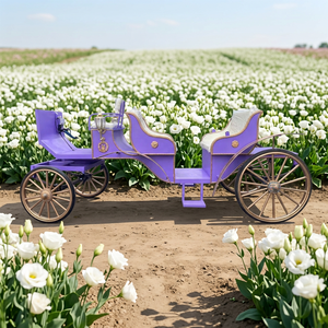 Voiture de tourisme électrique de qualité supérieure, de couleur violette, type Victoria, avec chevaux - Product Image 1