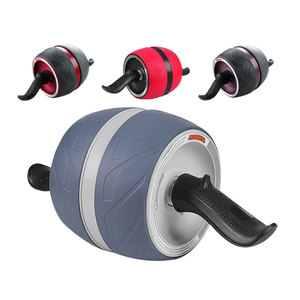 Rouleau Abdominal Antidérapant pour Entraînement de Force, Vente en Gros, Idéal pour la Maison, le Bureau et la Salle de Sport - Product Image 1