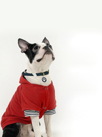 Accessoires pour animaux de compagnie en gros : Pendentif d'identification circulaire en alliage de zinc pour chien, avec lettrage et empreinte de patte, anti-évasion