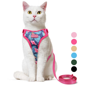 <span class=keywords><strong>Harnais</strong></span> et laisse pour chat mignon, anti-évasion, réglable, gilet pour animaux de compagnie pour petits et grands <span class=keywords><strong>chatons</strong></span> et chiens, design respirant et doux - Product Image 3