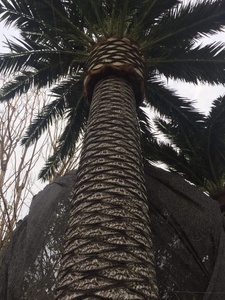 Chất Lượng Cao Nhân Tạo Kích Thước Lớn 5-20 Meter Dừa Vua Cây Cọ Cây Rong Biển Cho Công Viên Chủ Đề Zoo Công Viên Nước Khách Sạn 5 Sao - Product Image 6