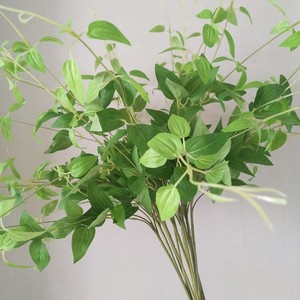 Feuilles de <span class=keywords><strong>bambou</strong></span> artificielles de haute qualité - Style nordique, fausse verdure grimpante pour la décoration de la maison, des hôtels et des mariages - Product Image 1