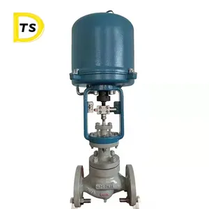 하이 퀄리티 전기 글로브 밸브 다이어프램 압력 조절 밸브 물 흐름 글로브 전기 조절 밸브
