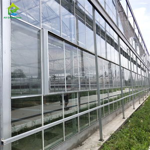 Serres agricoles de mur de verre de cadre en aluminium préfabriqué de Multispan de grand espace d'usine avec le système croissant hydroponique - Product Image 3