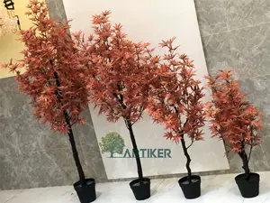 Pot décoratif d'intérieur, 11 pièces, plantes de bonsaï en pot, rouge, Orange japonaise, pour la maison, vente en gros