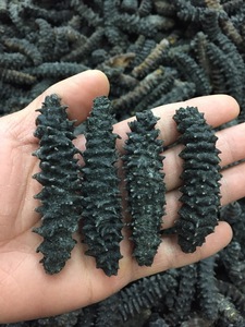 Trung Quốc Ít Chất Béo Đường Miễn Phí Mua Dưa Chuột Biển Khô Với Chủ Đề Giá Để Bán - Product Image 3