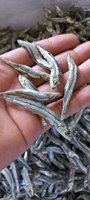 Produits de la mer séchés en provenance d'usine : Anchois, crevettes bébés, scad OEM 500 grammes 1 kg - Seafood(at)linda(dot)com -W/S: 0084 9989 322 607
