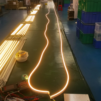 Tira de LED de Neón de la Serie 1020 de Largo Alcance, con Cero Caída de Voltaje, Resistente al Agua, para Decoración de Fachadas y Contornos de Edificios