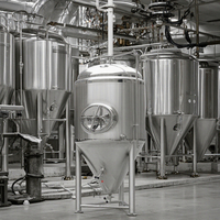 SUS 304 Fermentation de bière BBT Tank 200l-300l Fermenteur à double paroi conique avec capacité de pompe 500l pour le traitement du rhum