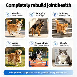 Integratore per Articolazioni ad Alta Concentrazione per Animali Domestici, Miscela di Glucosamina ed Erbe, Promuove Lubrificazione e Flessibilità, Vendita all'Ingrosso B2B - Product Image 4