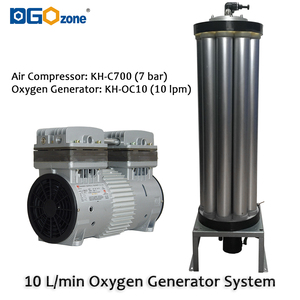 Dgozone 15l Psa Zuurstofgenerator Systeem <span class=keywords><strong>15lpm</strong></span> Zuurstofconcentrator Met Olievrije Luchtcompressor - Product Image 5