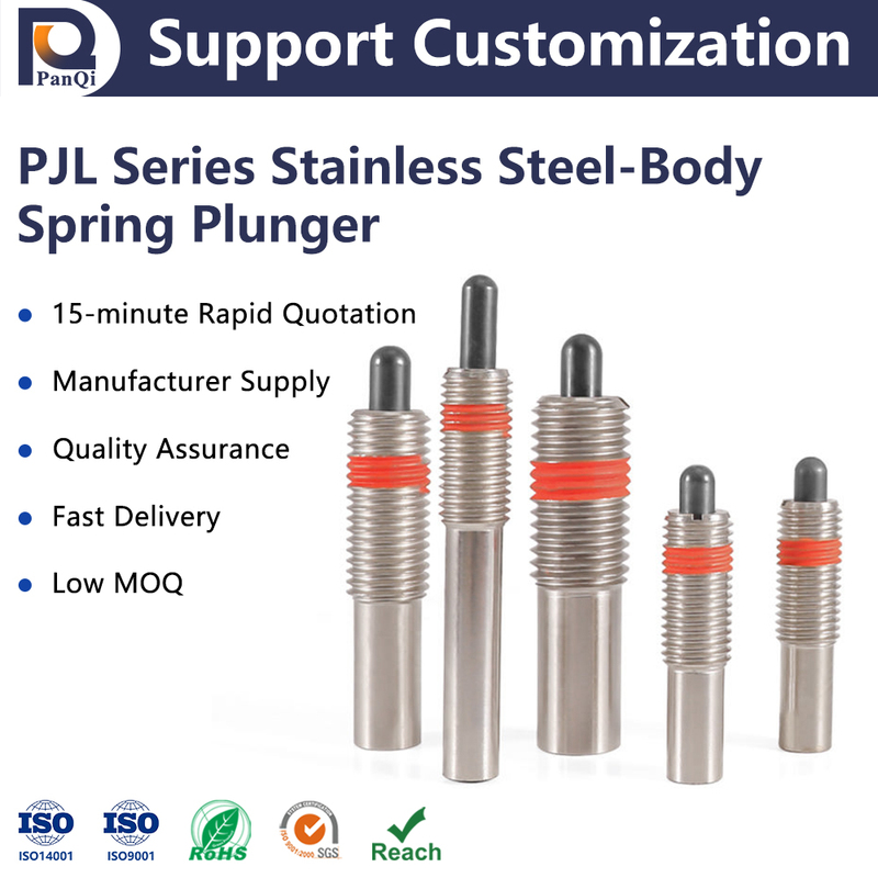PANQI Stainless Steel DIN8140 Customized Size