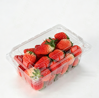 Boîte en blister PET jetable recyclable, emballage transparent pour fruits, raisins, fraises, bleuets