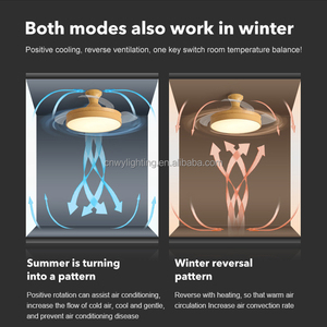 Hiện đại Chic LED ánh sáng quạt trần với có thể thu vào từ xa im lặng DC động cơ Hidden Blade cho phòng khách sử dụng - Product Image 5